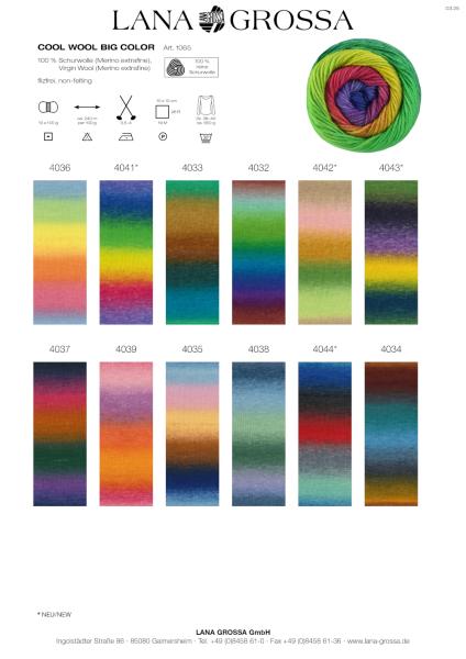 Farbkarte Cool Merino Big Color 1